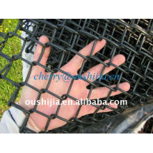 PVC revestido Chain Link Mesh (fábrica &amp; exportador)